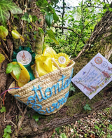 Cottontail Burrow Basket