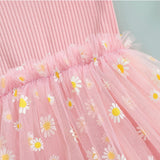 Pink Lulu Dress