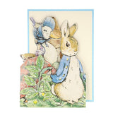 Peter Rabbit Concertina Card