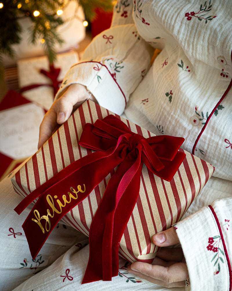 Believe Velvet Double Hair Bow Clip