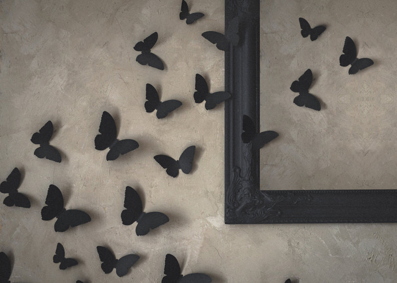 Paper Moth Decoration, BLACK