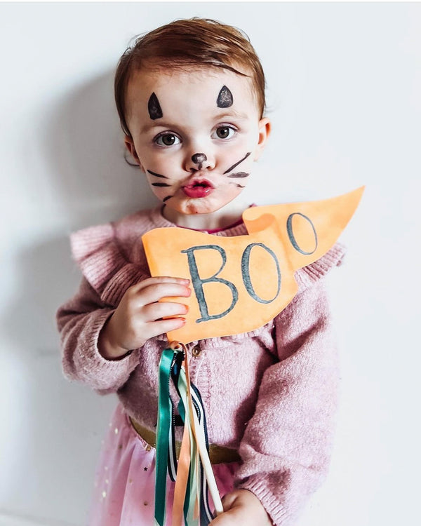 Boo Party Pennant