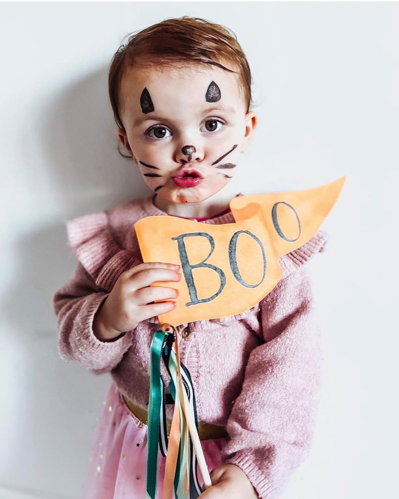 Boo Party Pennant