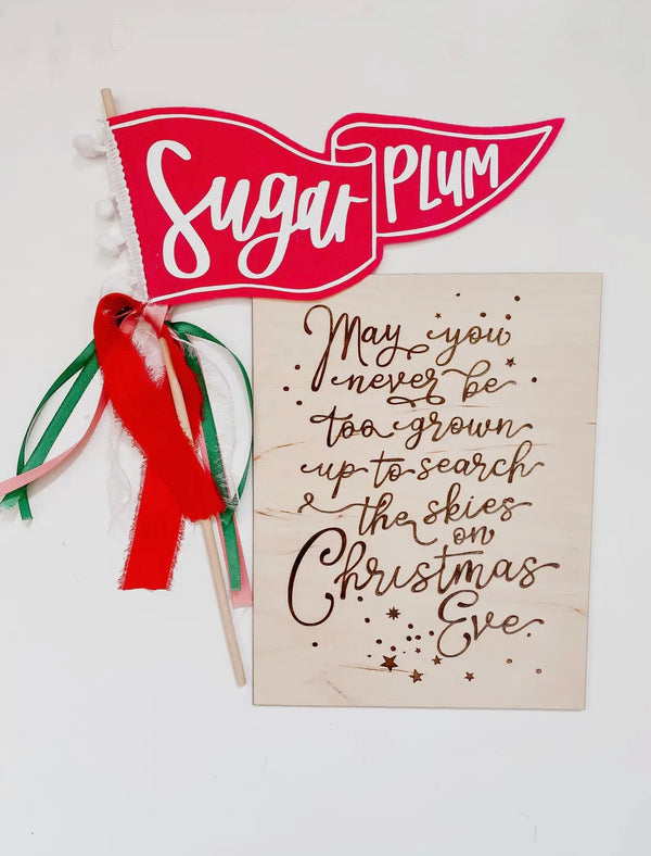 Search The Skies Sign