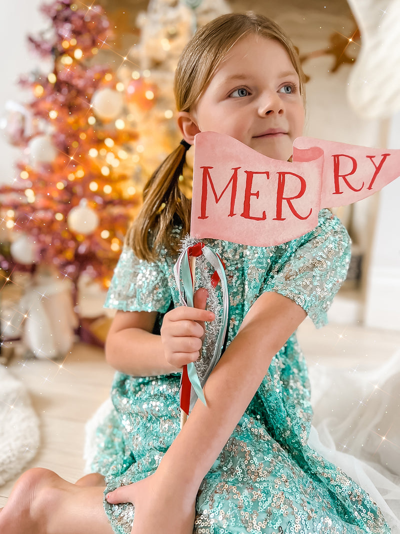 Merry Party Pennant