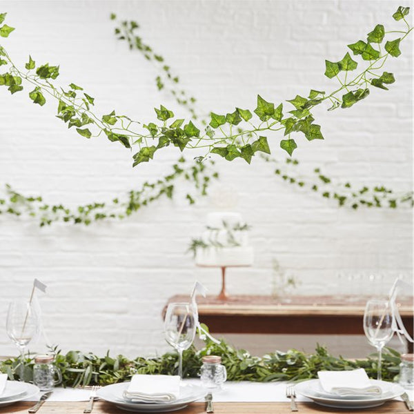 Beautiful Botanics Decorative Vines - 2M