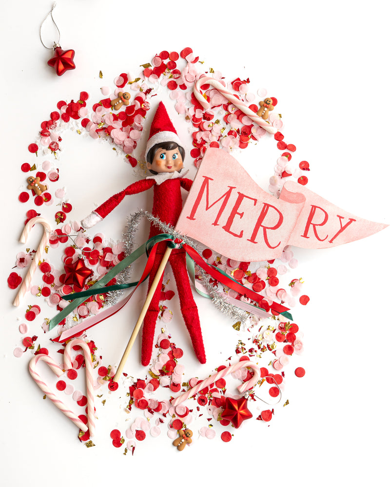 Merry Party Pennant