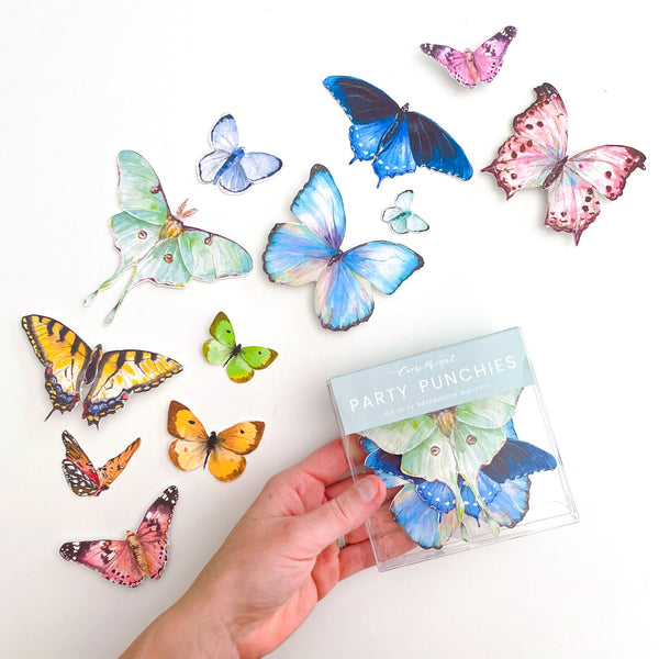 Rainbow Butterfly Party Punchies