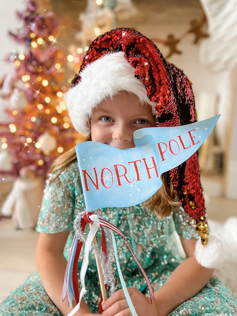 North Pole Party Pennant
