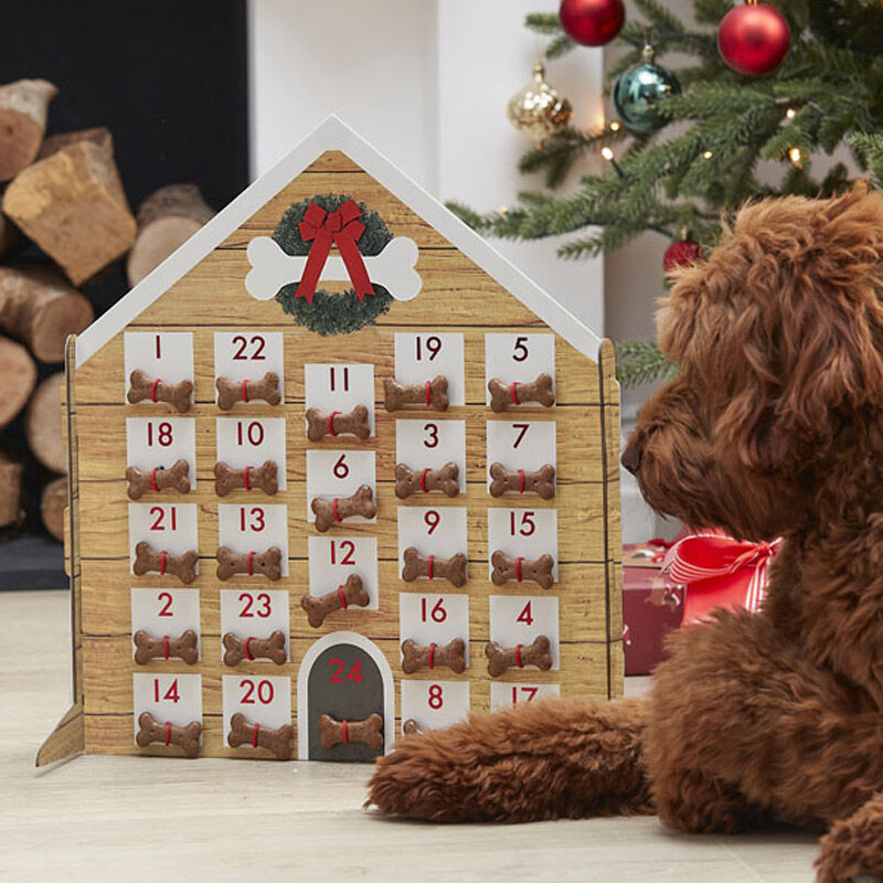 Fill Your Own Dog Advent Calendar
