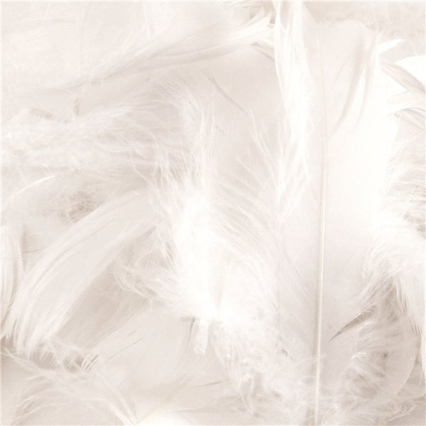 White Decorative Feathers