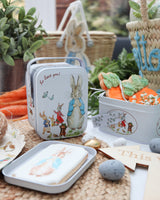 Peter Rabbit Treat Cases
