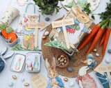 Peter Rabbit Treat Cases