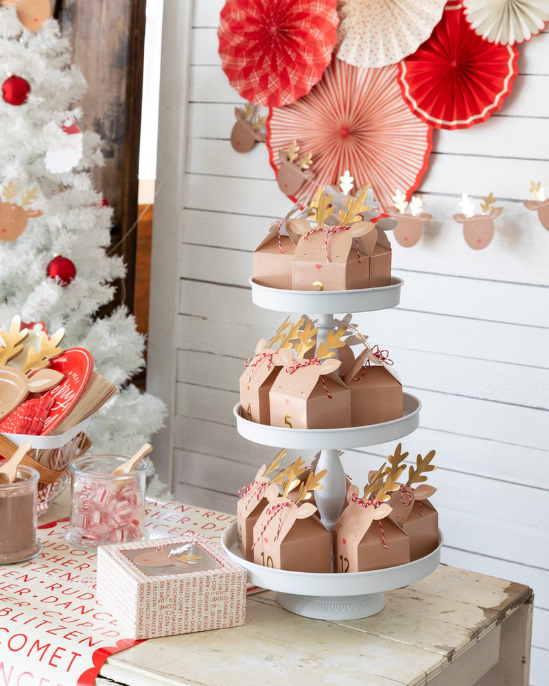 Believe Reindeer Banner Set